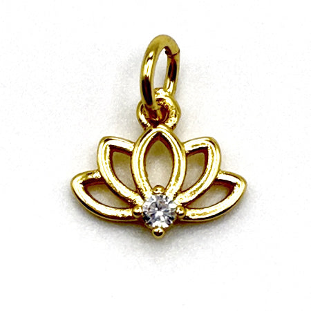 Leya Lariat Charms