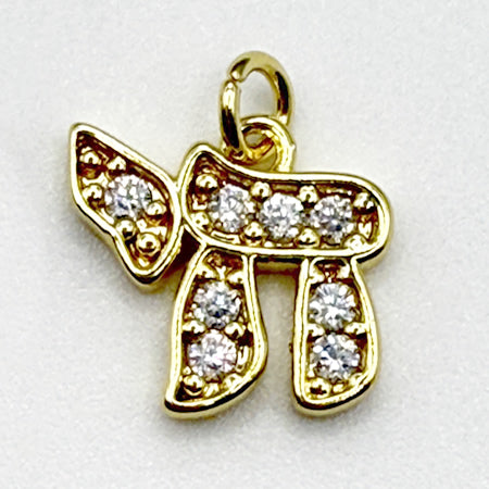 Leya Lariat Charms