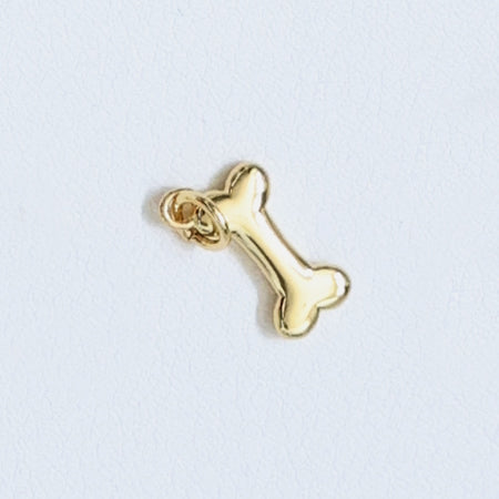 Charm - Items