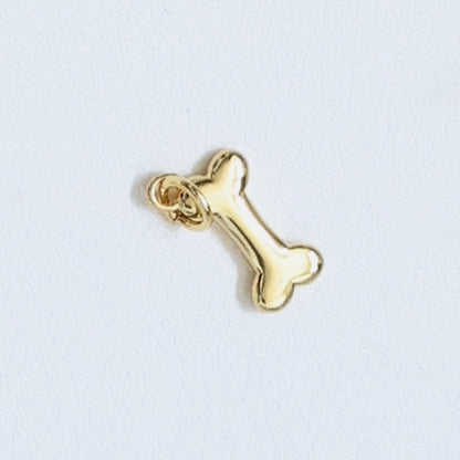 Charm - Items