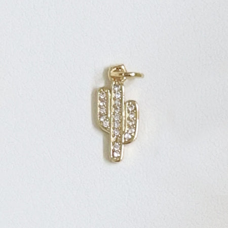 Charm - Items