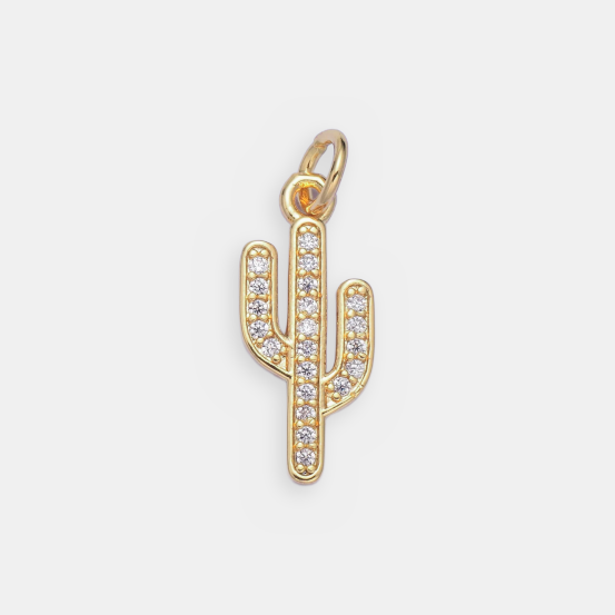 +Lifestyle & Objects