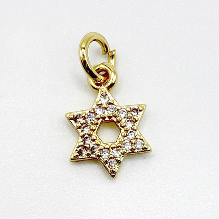 Leya Lariat Charms